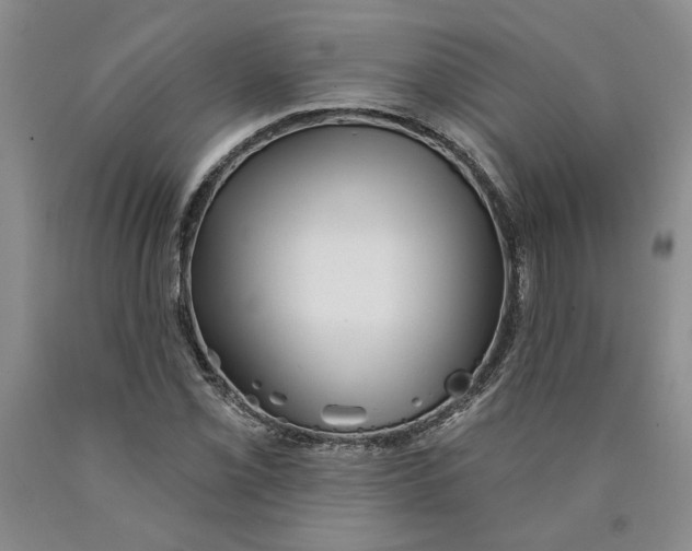 X0000089911069200707271710