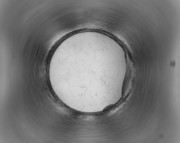 X0000089911070200707271710