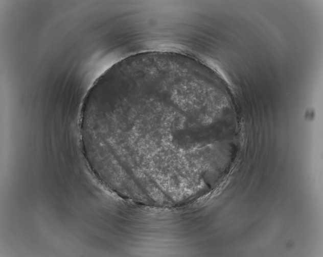 X0000089911071200707271710