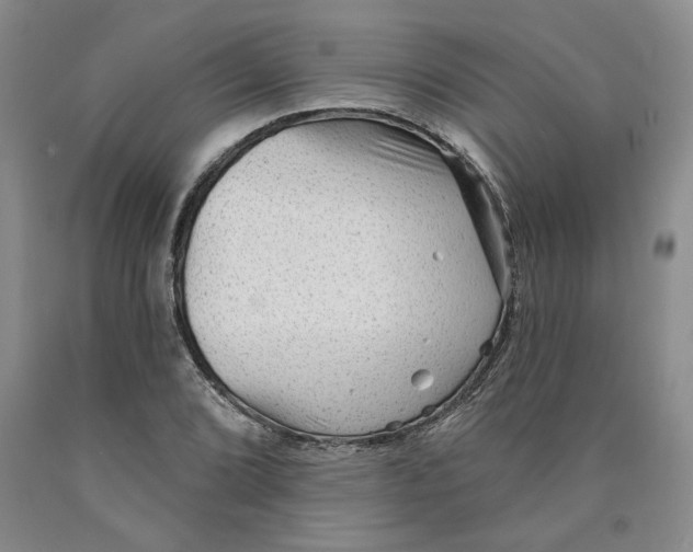 X0000089911072200707271710