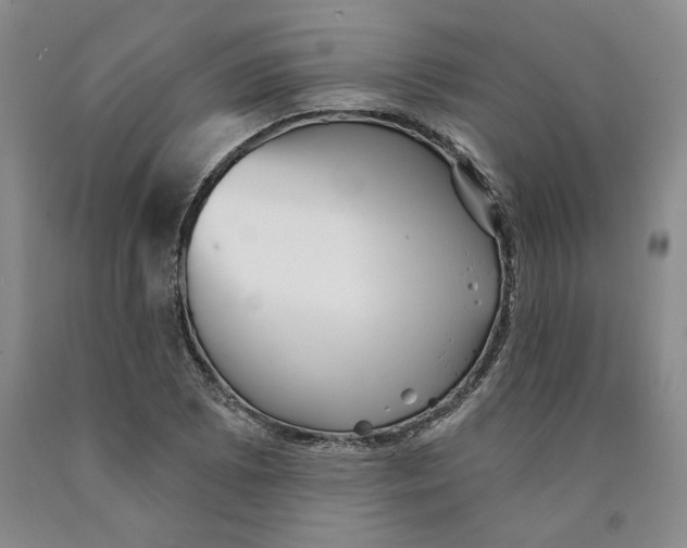 X0000089911073200707271710