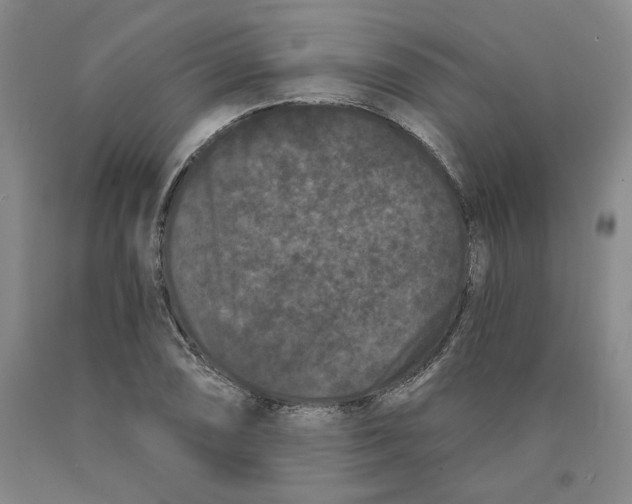 X0000089911074200707271709