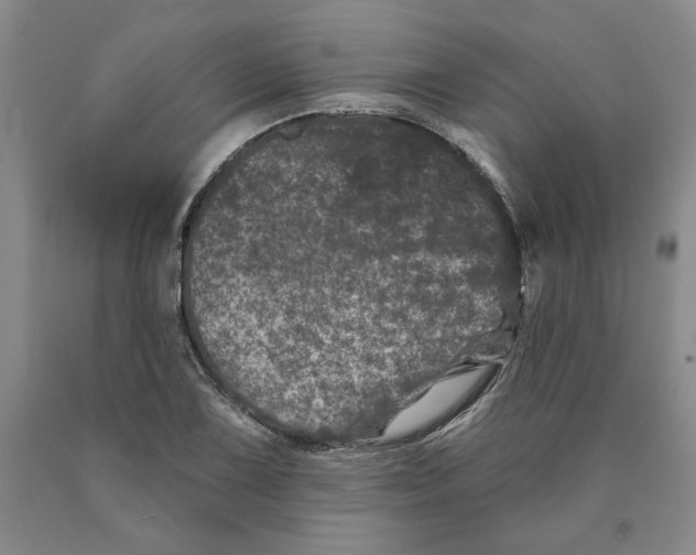 X0000089911075200707271709