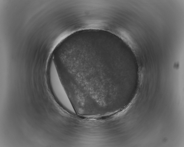 X0000089911077200707271709