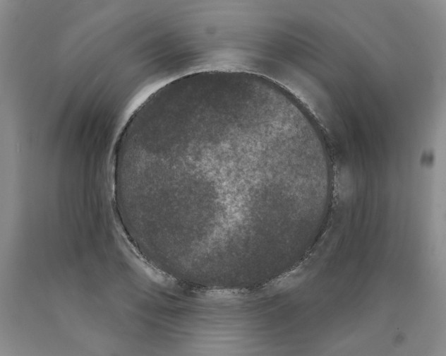 X0000089911078200707271709