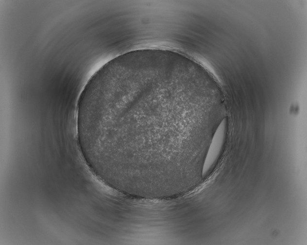 X0000089911079200707271709