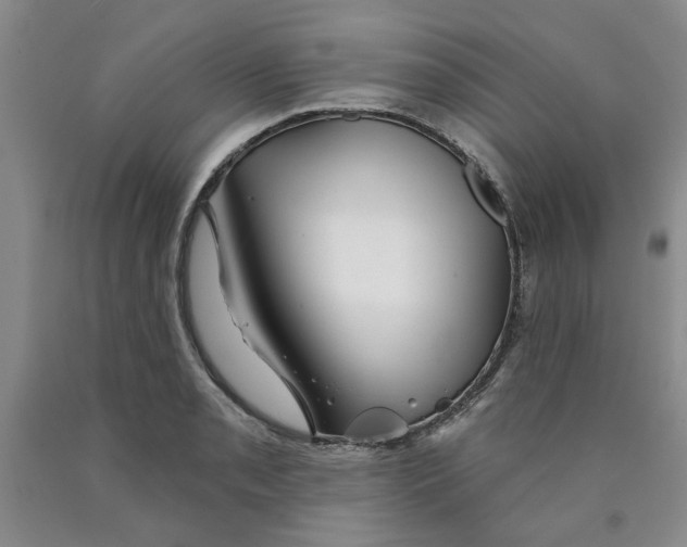 X0000089911085200707271709