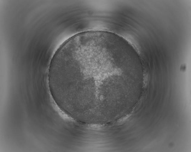 X0000089911086200707271709