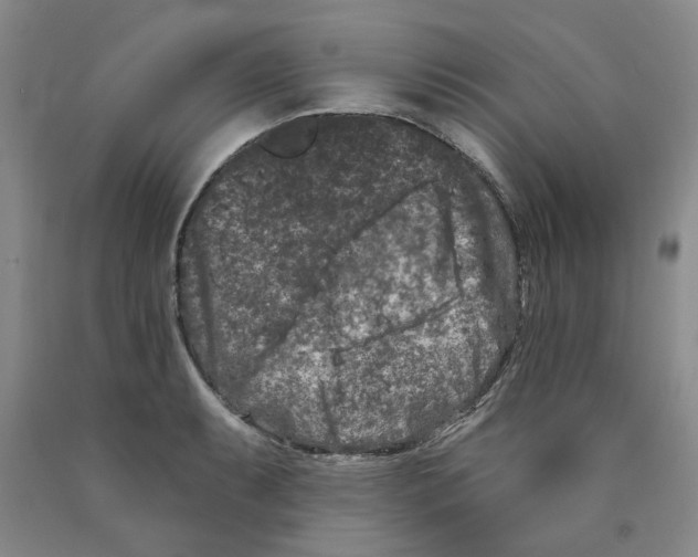 X0000089911087200707271709