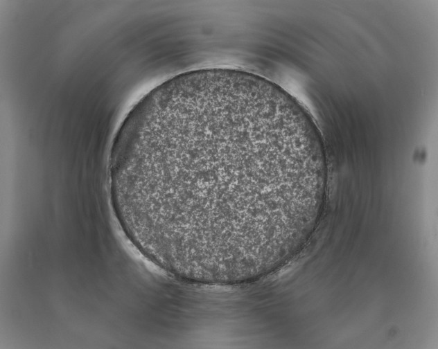 X0000089911088200707271709