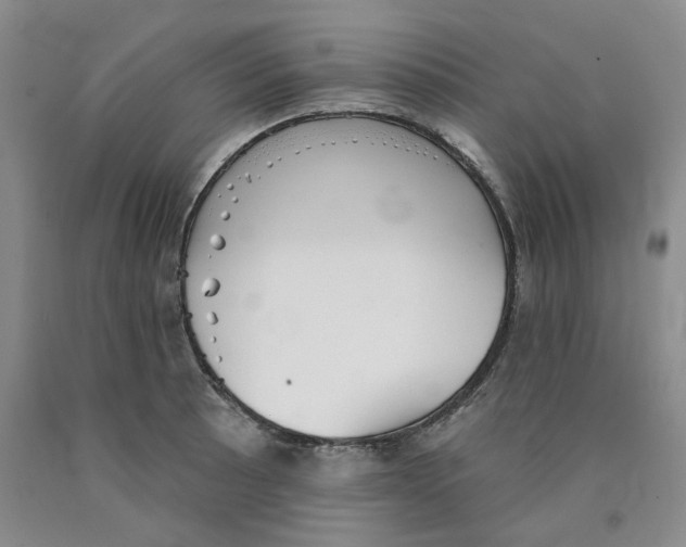 X0000089911089200707271709