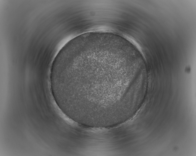 X0000089911091200707271709