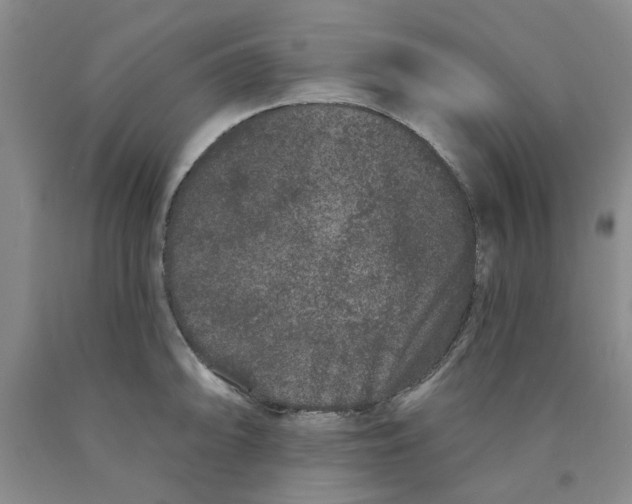 X0000089911094200707271709