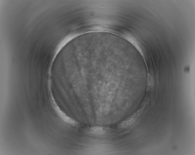 X0000089911098200707271709