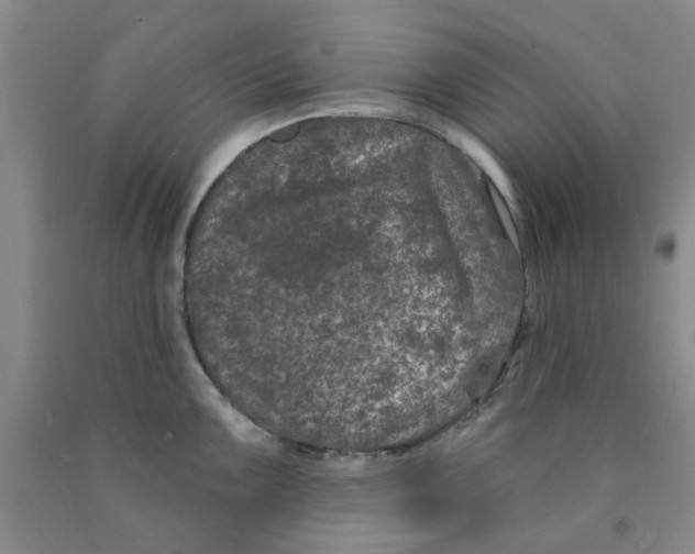 X0000089911099200707271709