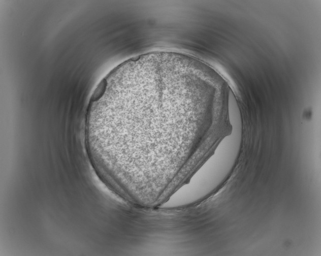 X0000089911100200707271709