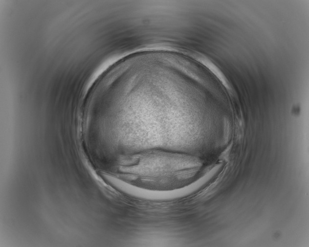 X0000089911101200707271709