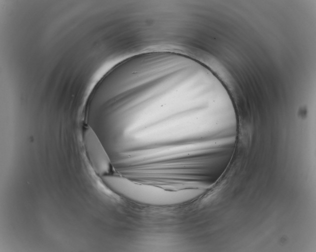 X0000089911102200707271709