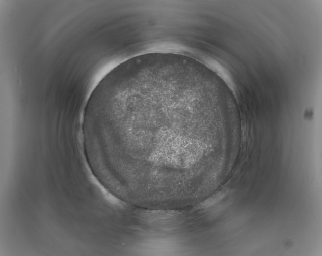 X0000089911103200707271709