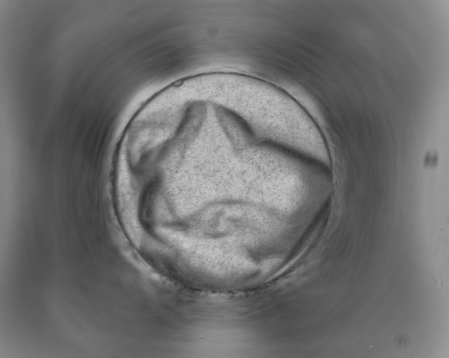 X0000089911104200707271709