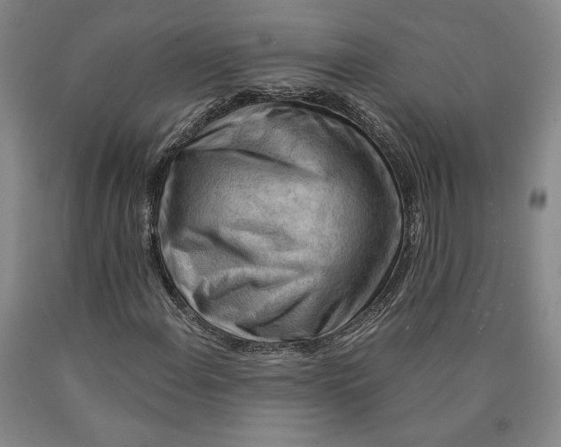 X0000089911108200707271708