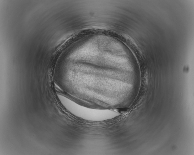 X0000089911110200707271708