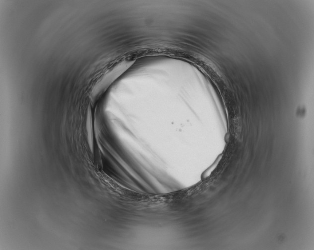 X0000089911111200707271708