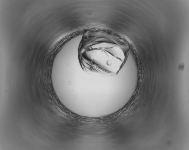 X0000089911112200707271708