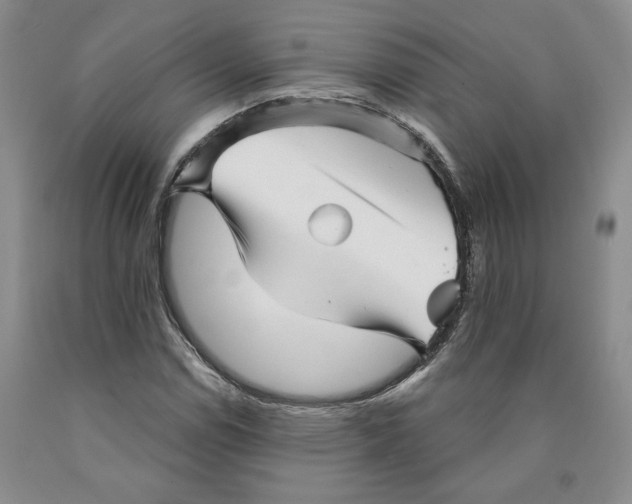 X0000089911114200707271708