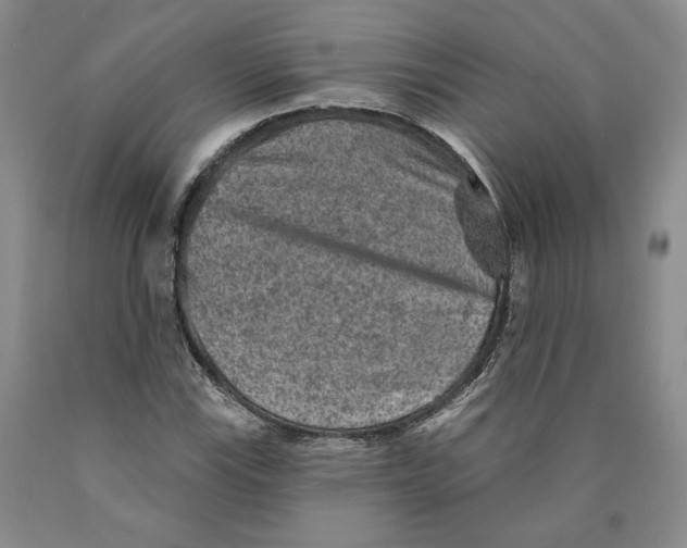 X0000089911115200707271708