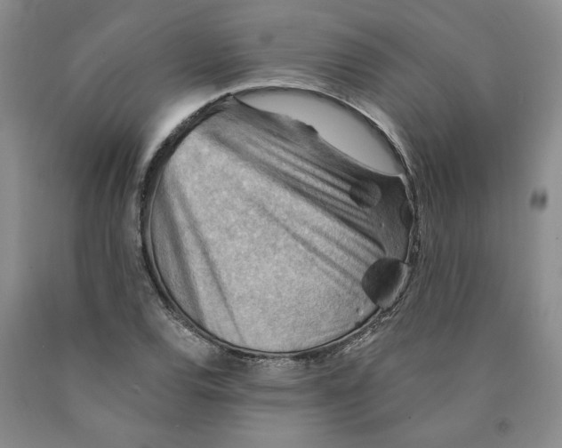 X0000089911120200707271709