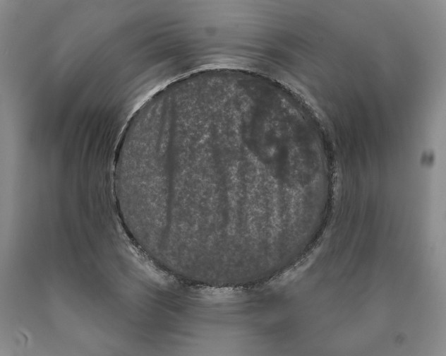 X0000089911121200707271709