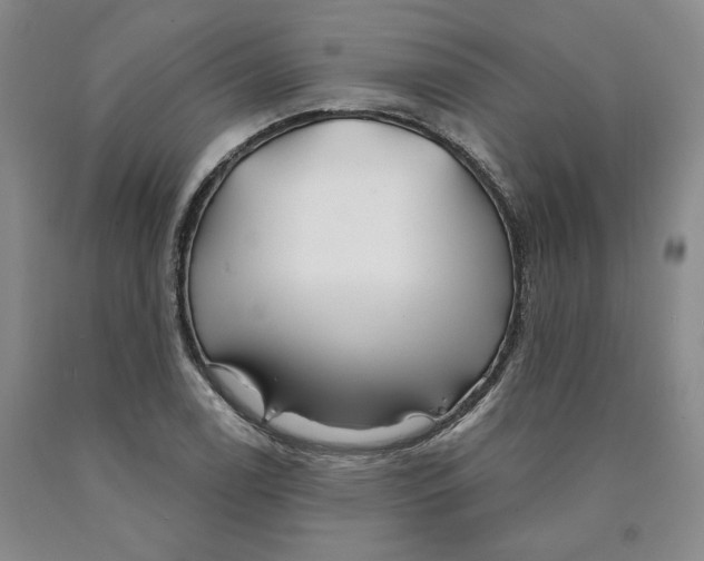 X0000089911122200707271709