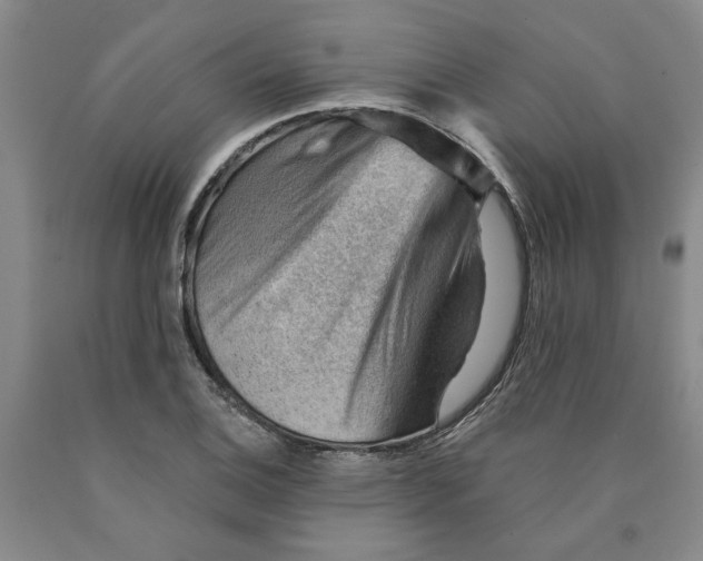 X0000089911124200707271709