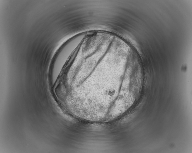 X0000089911125200707271709