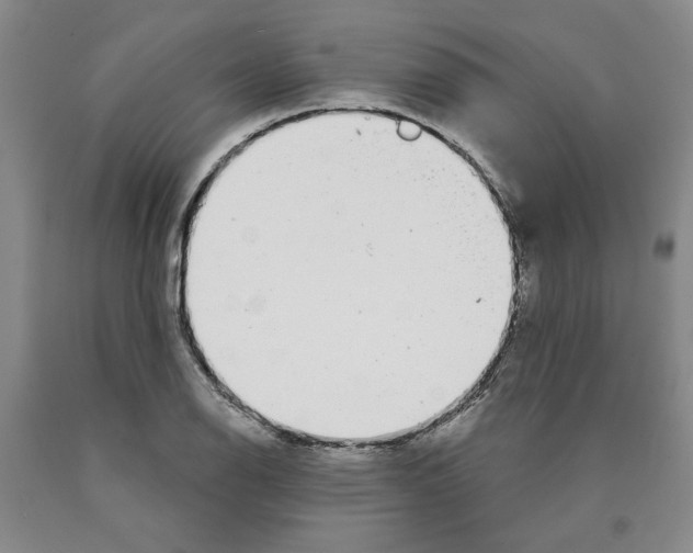 X0000089911126200707271709