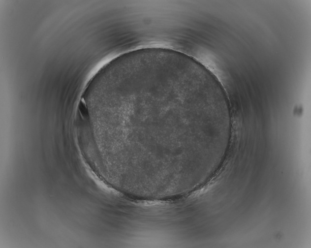 X0000089911127200707271709