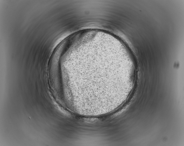 X0000089911129200707271709