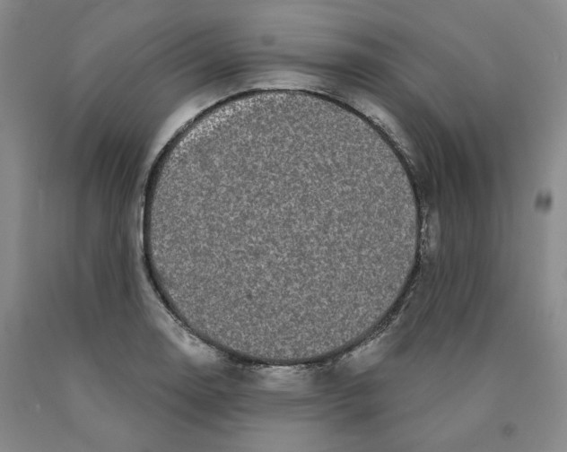 X0000089911130200707271709