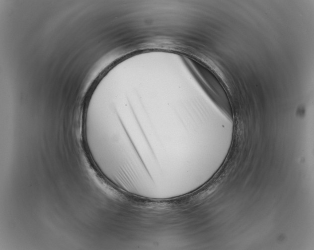 X0000089911131200707271709