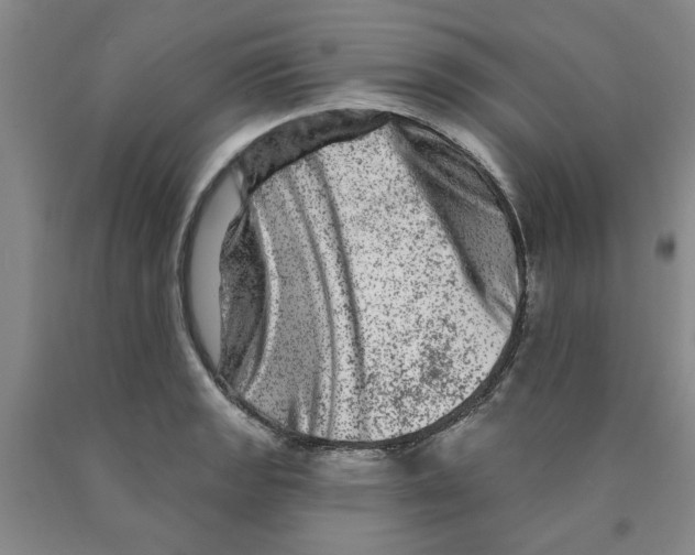 X0000089911133200707271709