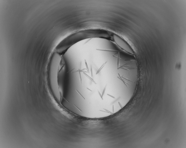 X0000089911134200707271709