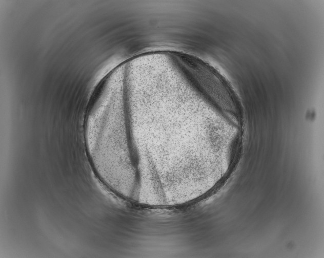 X0000089911137200707271709