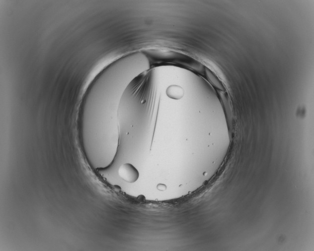 X0000089911138200707271709