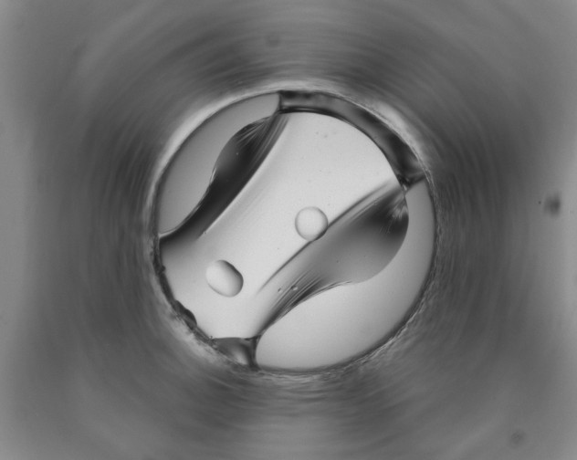 X0000089911140200707271709