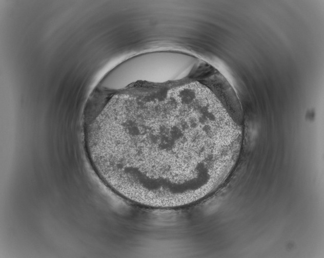 X0000089911142200707271709