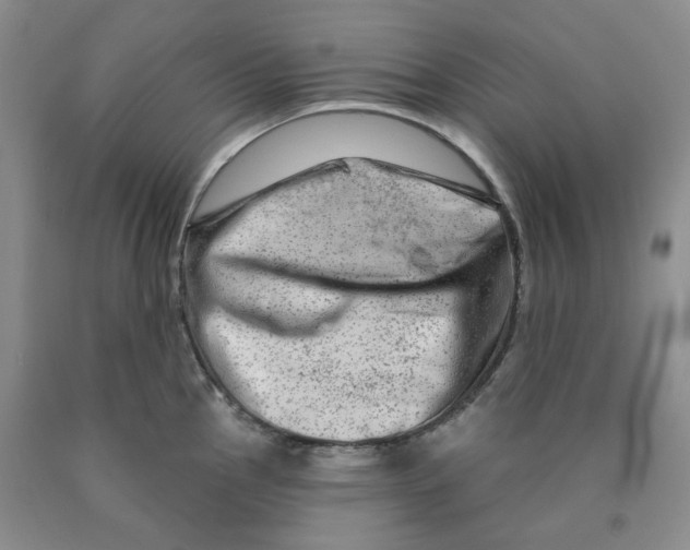 X0000089911145200707271709