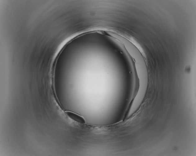 X0000089911148200707271709