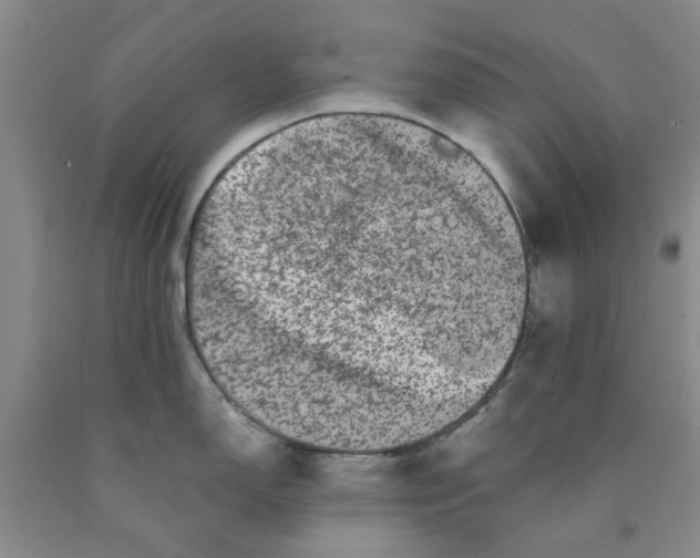 X0000089911150200707271709