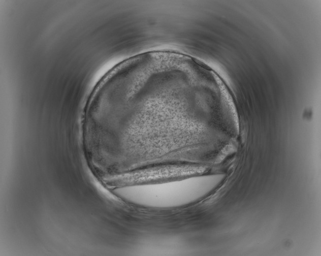 X0000089911151200707271709